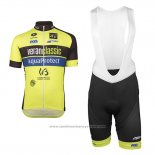 2017 Maillot Cyclisme Wb Verlanclassics Aquality Project Vert et Noir Manches Courtes et Cuissard