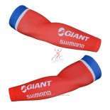 2015 Gaint Manchettes Ciclismo Rouge