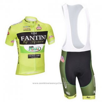 2013 Maillot Cyclisme Vini Fantini Vert et Noir Manches Courtes et Cuissard